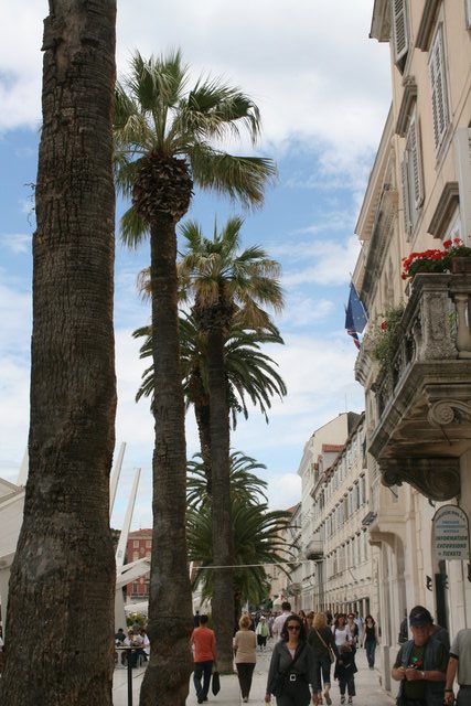 gal/cro 08/small-IMG_5043.JPG